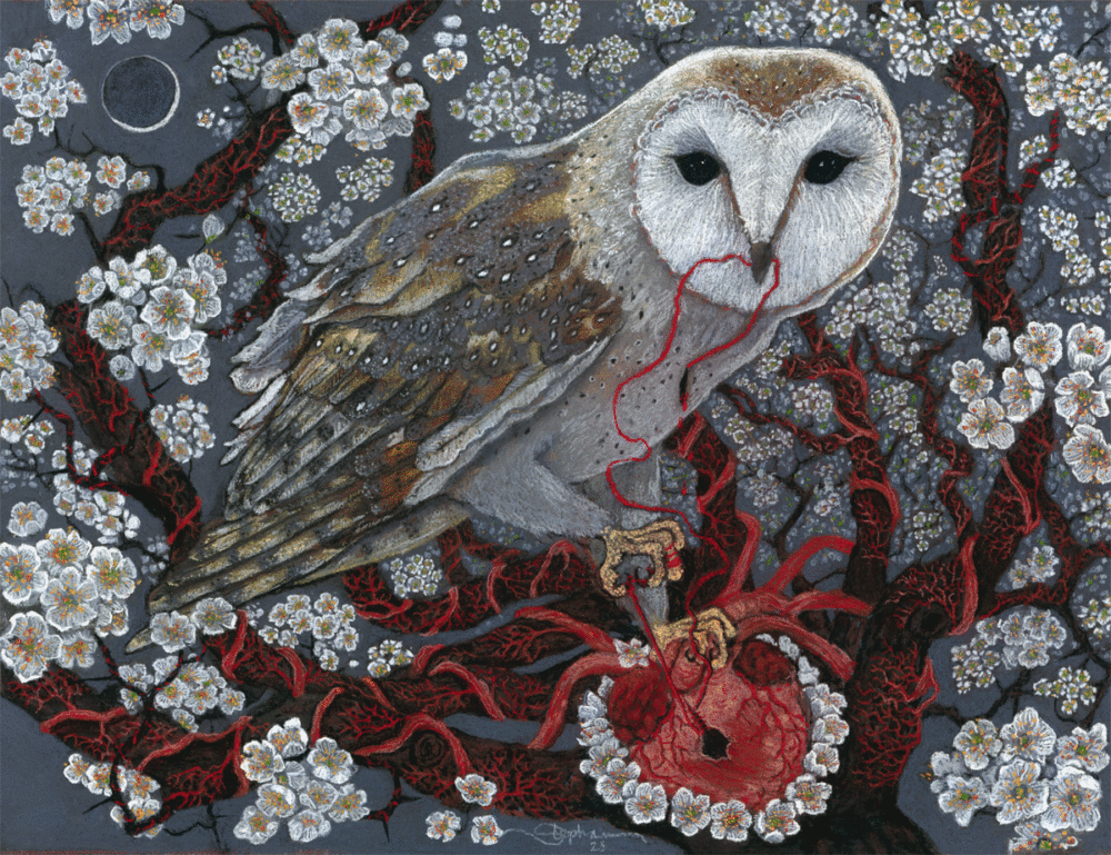 stepenie-berry-owlwoman1200x