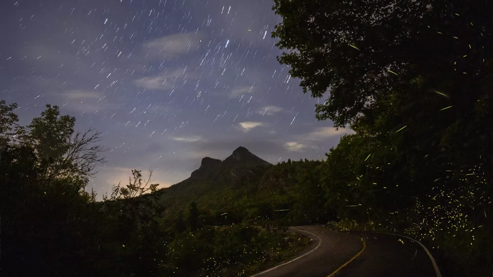 gmsf_fireflies-and-night-sky_photo-by-aaron-daines_courtesy-of-grandfather-mountain-stewardship-foundation