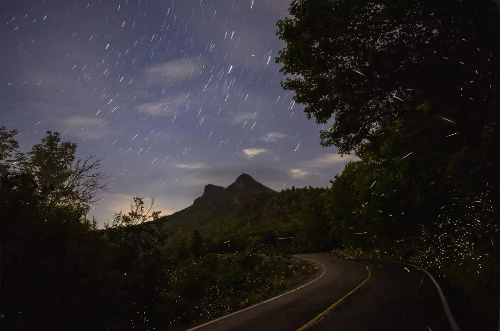 gmsf_fireflies-and-night-sky_photo-by-aaron-daines_courtesy-of-grandfather-mountain-stewardship-foundation