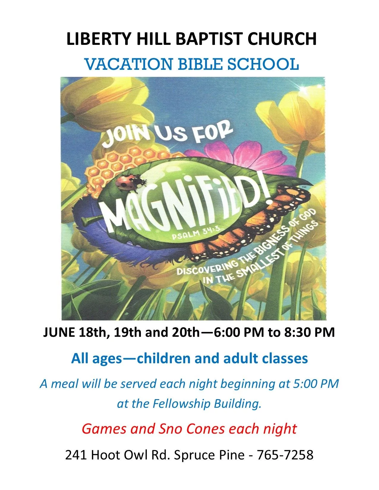 vbs-poster-2025-jpg