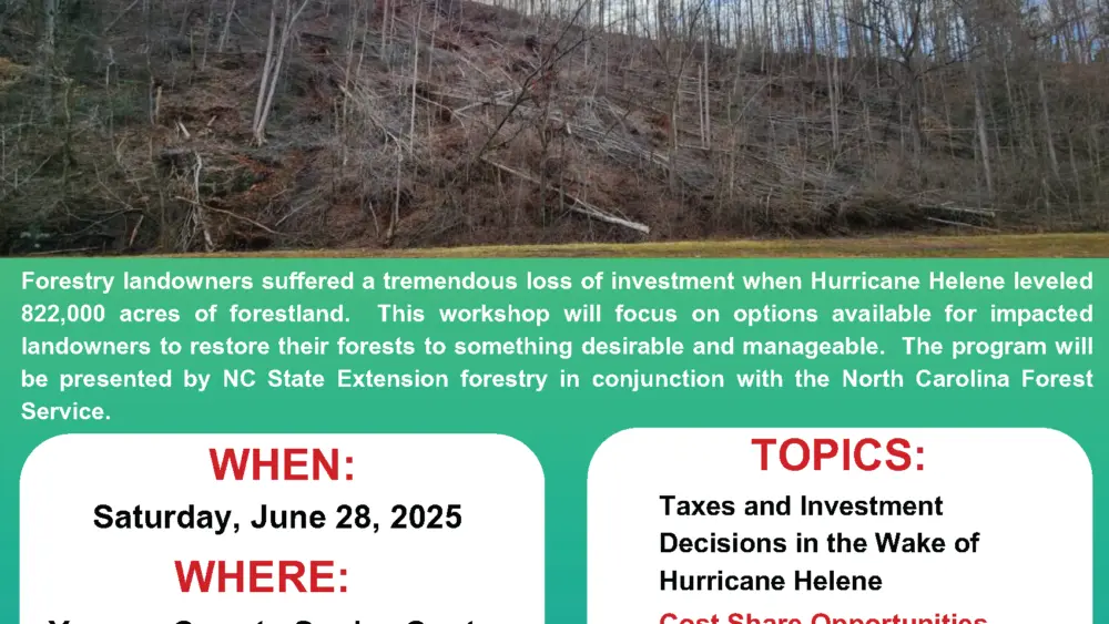 hurricane-helene-forestry-recovery-workshop-flyer