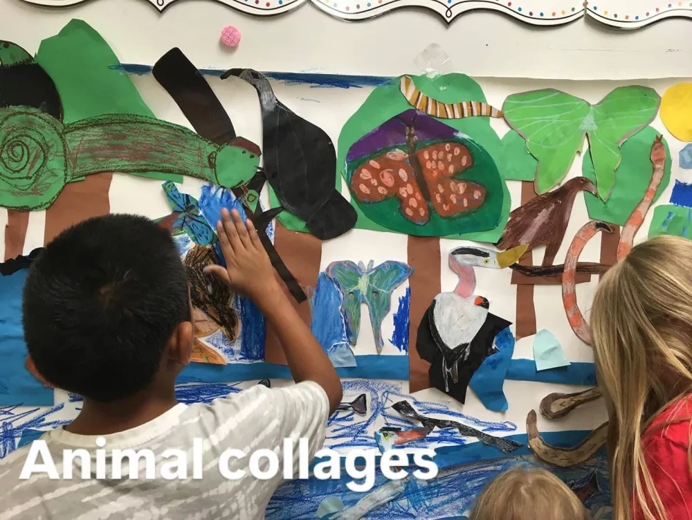 animal-collages