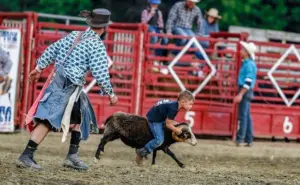 rodeo2