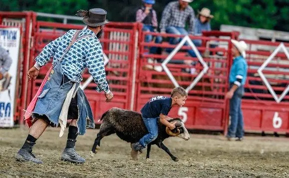 rodeo2