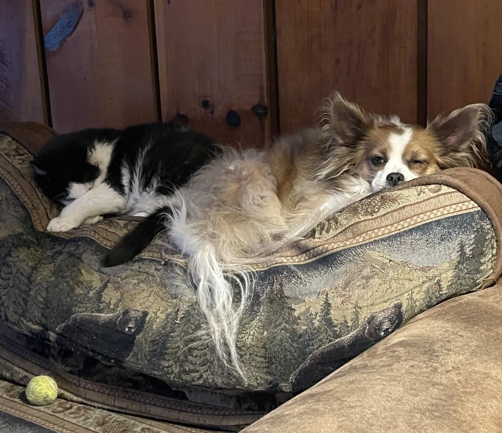 ellie-and-buck