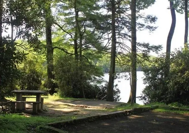 camp-8