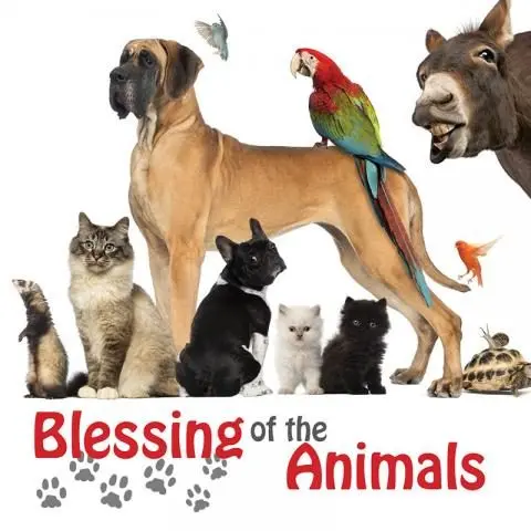 blessing-of-the-animals-feature2_0