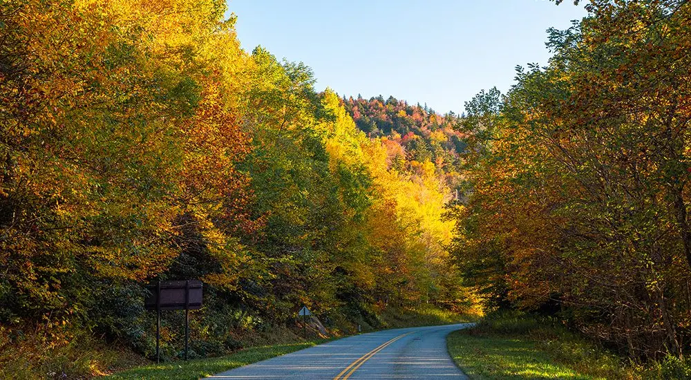 10112025_gmsf_fall-color_blue-ridge-parkway_lr_web
