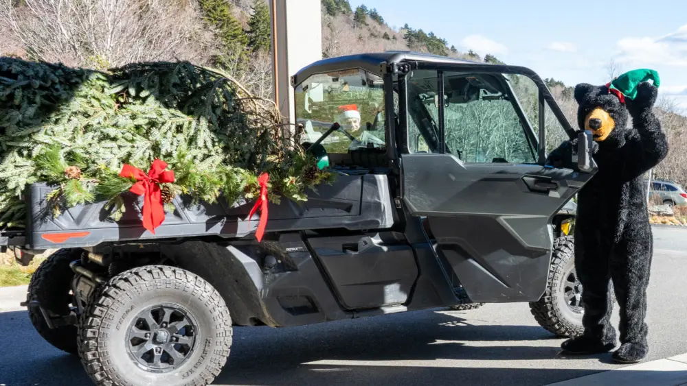 holiday-tree-arrival_photo-courtesy-of-grandfather-mountain-stewardship-foundation