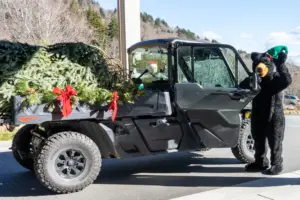 holiday-tree-arrival_photo-courtesy-of-grandfather-mountain-stewardship-foundation