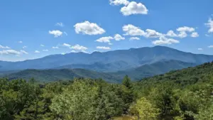 307030651_5710934362322018_6634627090425904815_n-2