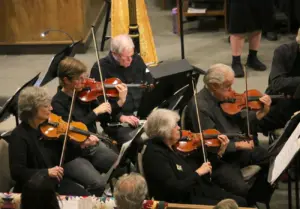 toe-river-chamber-ensemble-strings