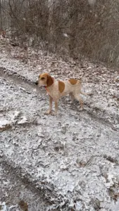 cjykmlnuyxbjagf0lzezljizljaumzqgkglqag9uztezlde7iglpuyaxny42lje7igd6axapiai