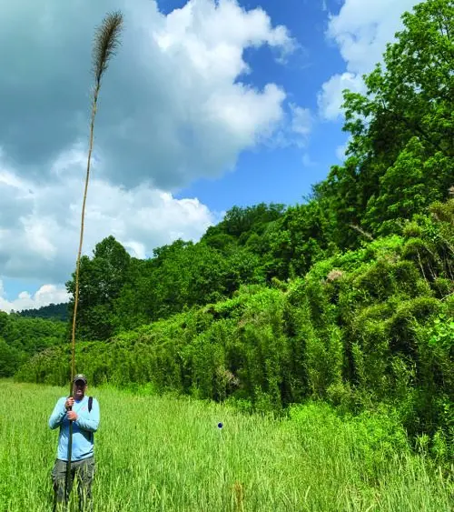 rare-rivercane-patch-caleb-copy-e1764940320493