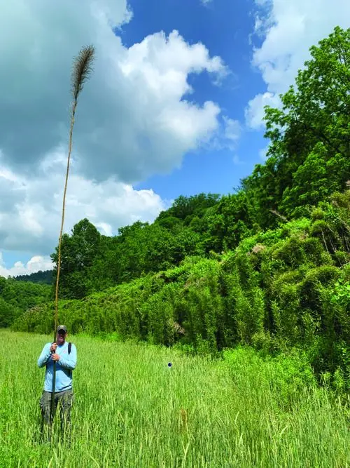 rare-rivercane-patch-caleb-copy-e1764940320493