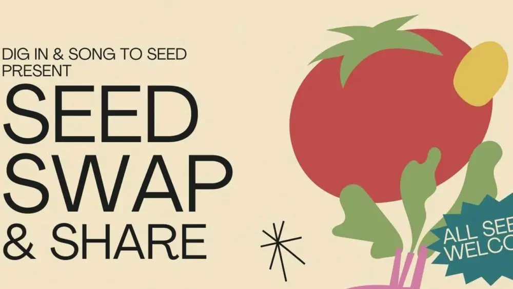 creator-gd-jpeg-v1-0-using-ijg-jpeg-v80-quality-82-34