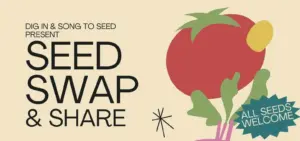 creator-gd-jpeg-v1-0-using-ijg-jpeg-v80-quality-82-34