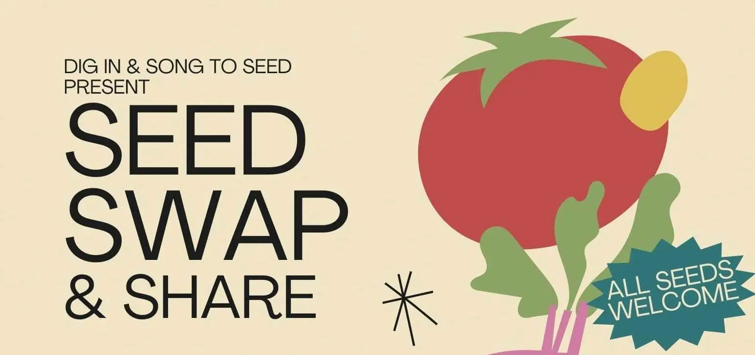 creator-gd-jpeg-v1-0-using-ijg-jpeg-v80-quality-82-34