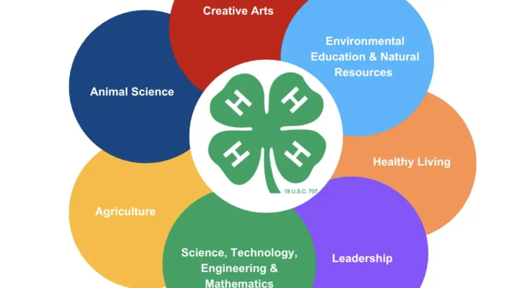 image-12-30-25-at-2-08-pm