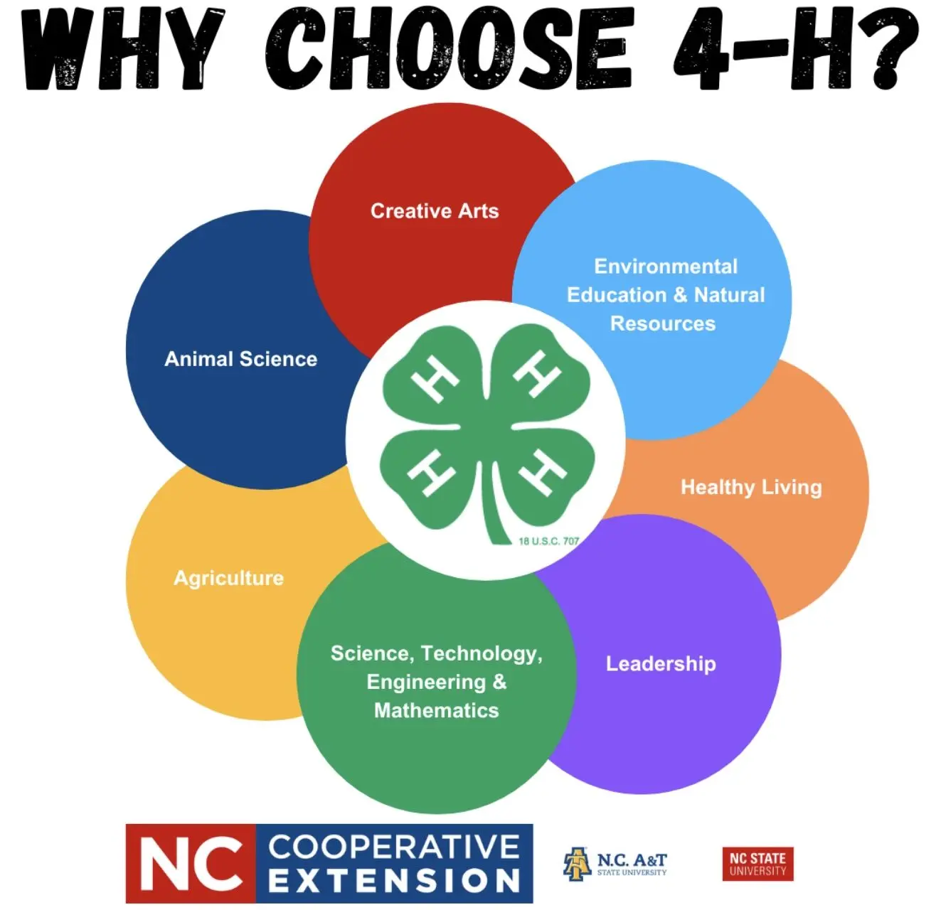 image-12-30-25-at-2-08-pm