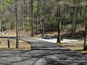 612139267_1335738688595765_3861474926860736176_n