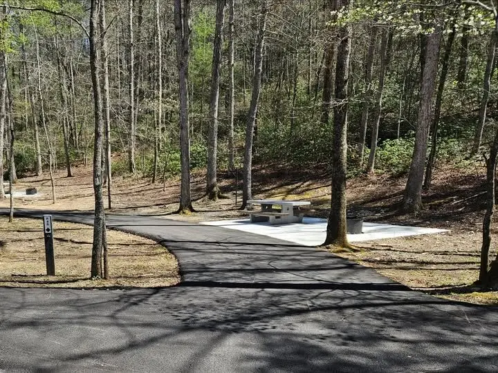 612139267_1335738688595765_3861474926860736176_n