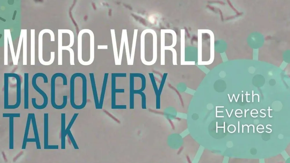 creator-gd-jpeg-v1-0-using-ijg-jpeg-v80-quality-82-35