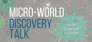 creator-gd-jpeg-v1-0-using-ijg-jpeg-v80-quality-82-35