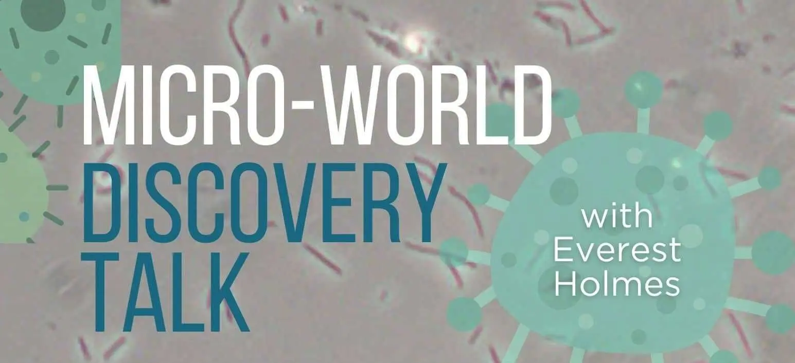 creator-gd-jpeg-v1-0-using-ijg-jpeg-v80-quality-82-35