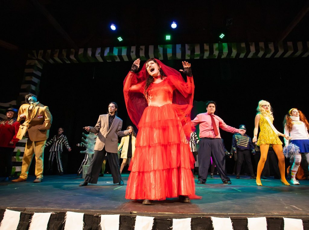 Theatre Camp Registration Opens February 2nd