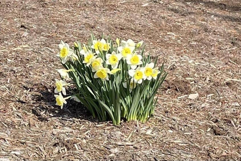Signs of Spring | WKYK