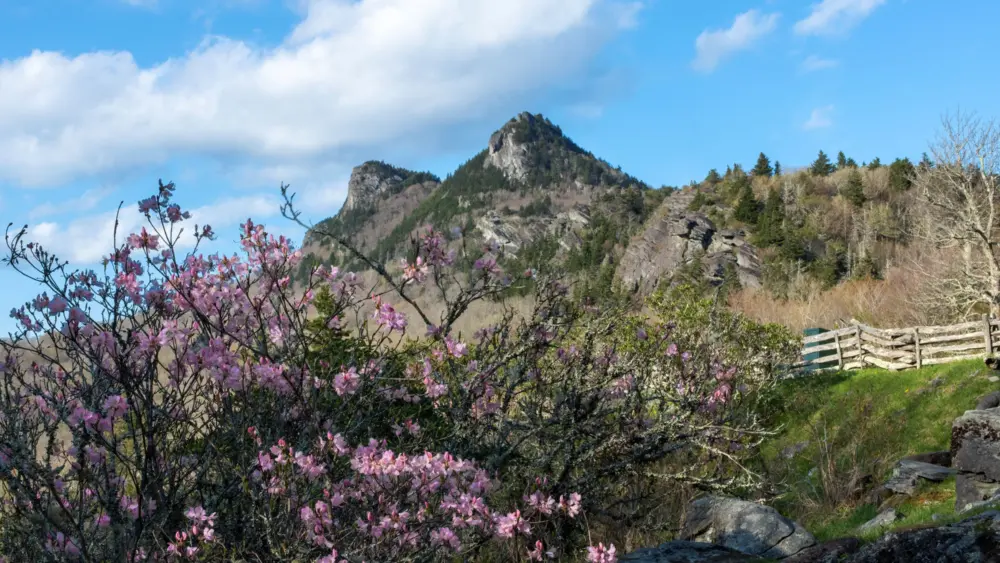 gmsf_spring-at-half-moon_photo-by-skip-sickler_courtesy-of-grandfather-mountain-stewardship-foundation