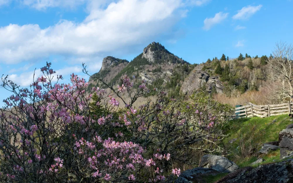 gmsf_spring-at-half-moon_photo-by-skip-sickler_courtesy-of-grandfather-mountain-stewardship-foundation