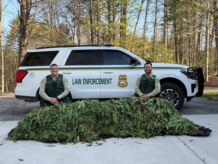 Wtoe Forest Service Officers Break Up Suspected Ramp-Poaching Operation | WKYK