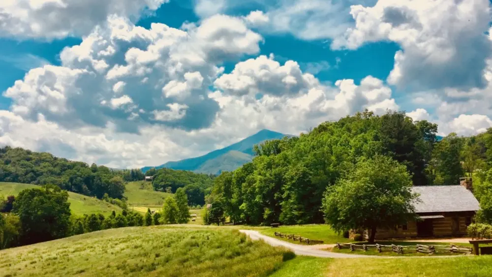 screen-shot-2018-05-27-at-8-01-32-am