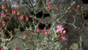 041426_spring_color_et