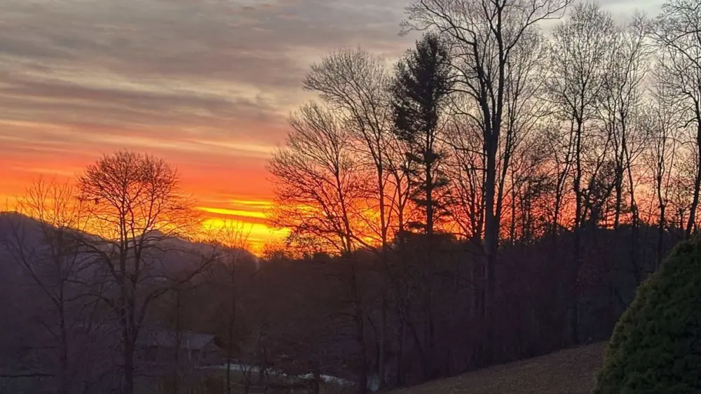 creator-gd-jpeg-v1-0-using-ijg-jpeg-v80-quality-82-40