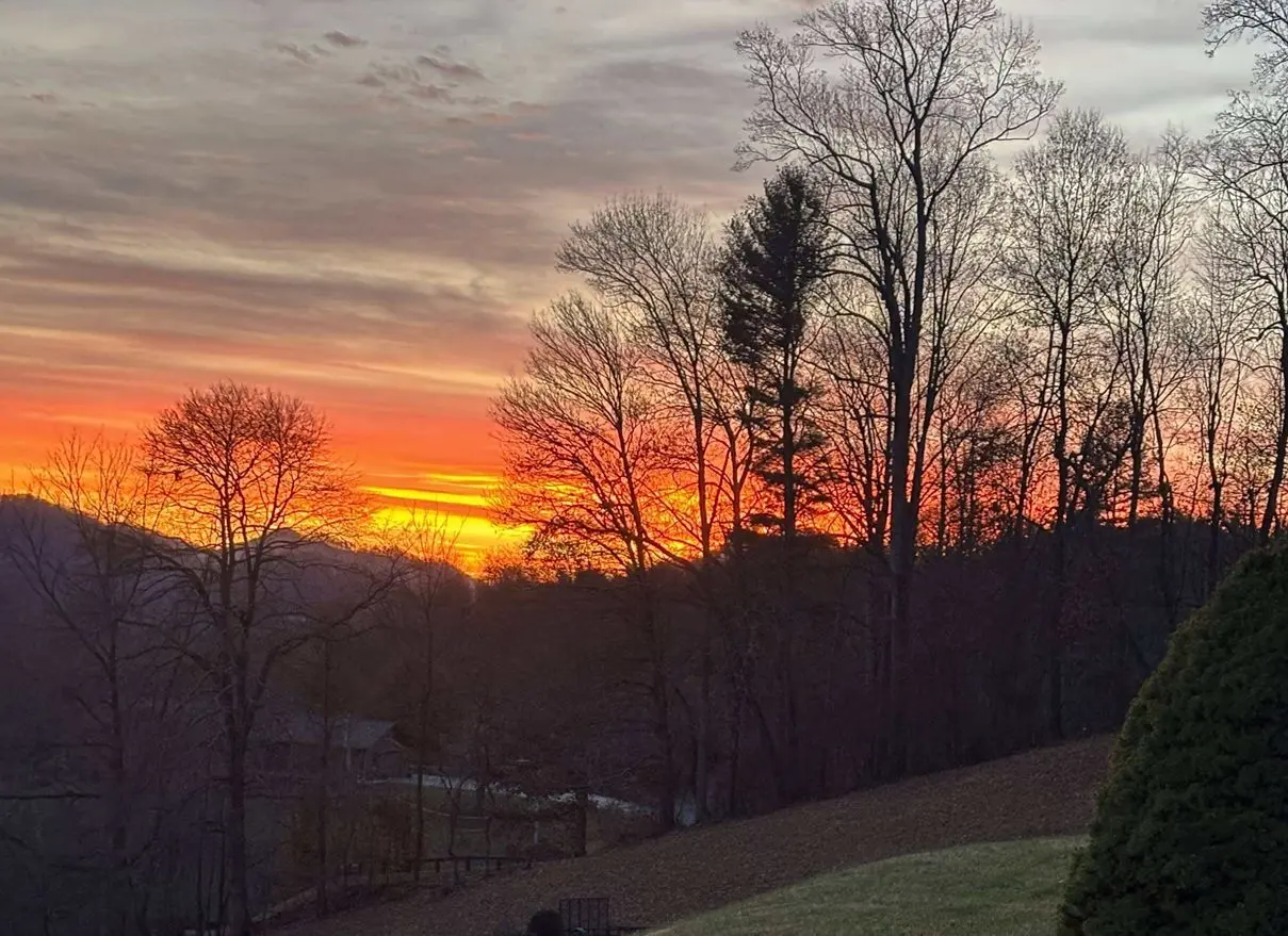 creator-gd-jpeg-v1-0-using-ijg-jpeg-v80-quality-82-40