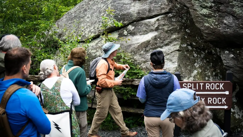 gmsf_adult-field-course_exploring_photo-courtesy-of-grandfather-mountain-stewardship-foundation