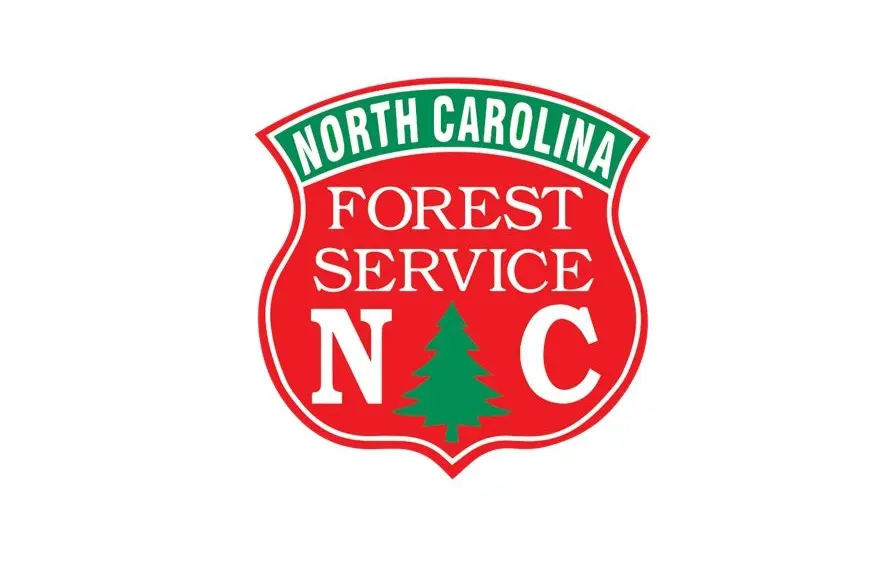 ncforest