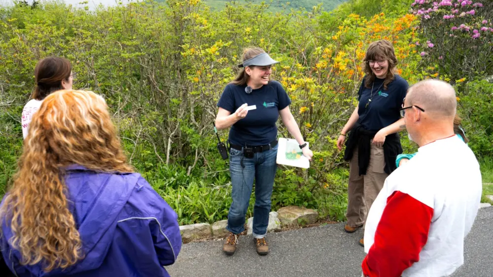 gmsf_rhododendron-rambles_photo-courtesy-of-grandfather-mountain-stewardship-foundation