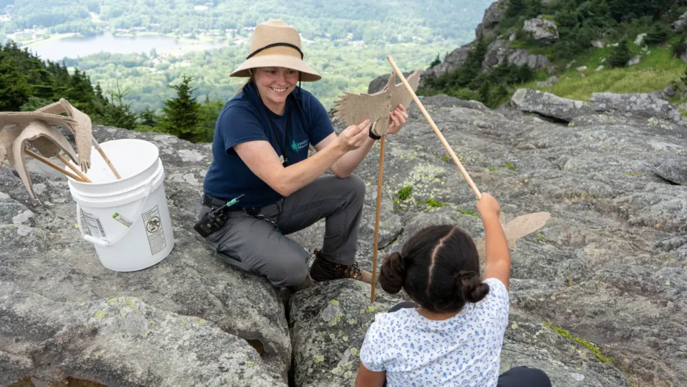 gmsf_junior-naturalist-day_naturalist-program_photo-courtesy-of-grandfather-mountain-stewardship-foundation