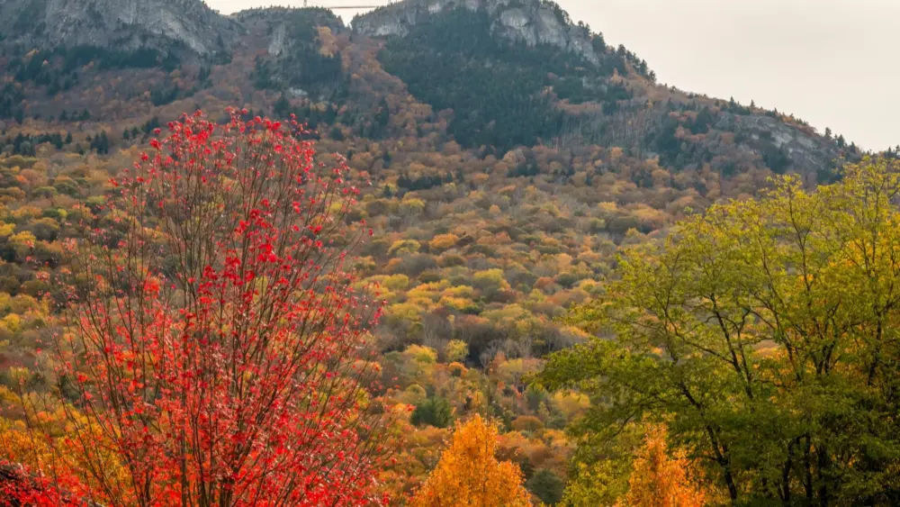 fall-color-scenic_photo-by-skip-sickler_courtesy-of-grandfather-mountain-stewardship-foundation