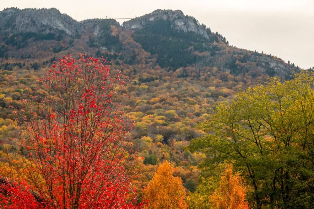 Fall Is Here. They Are Coming… | WKYK