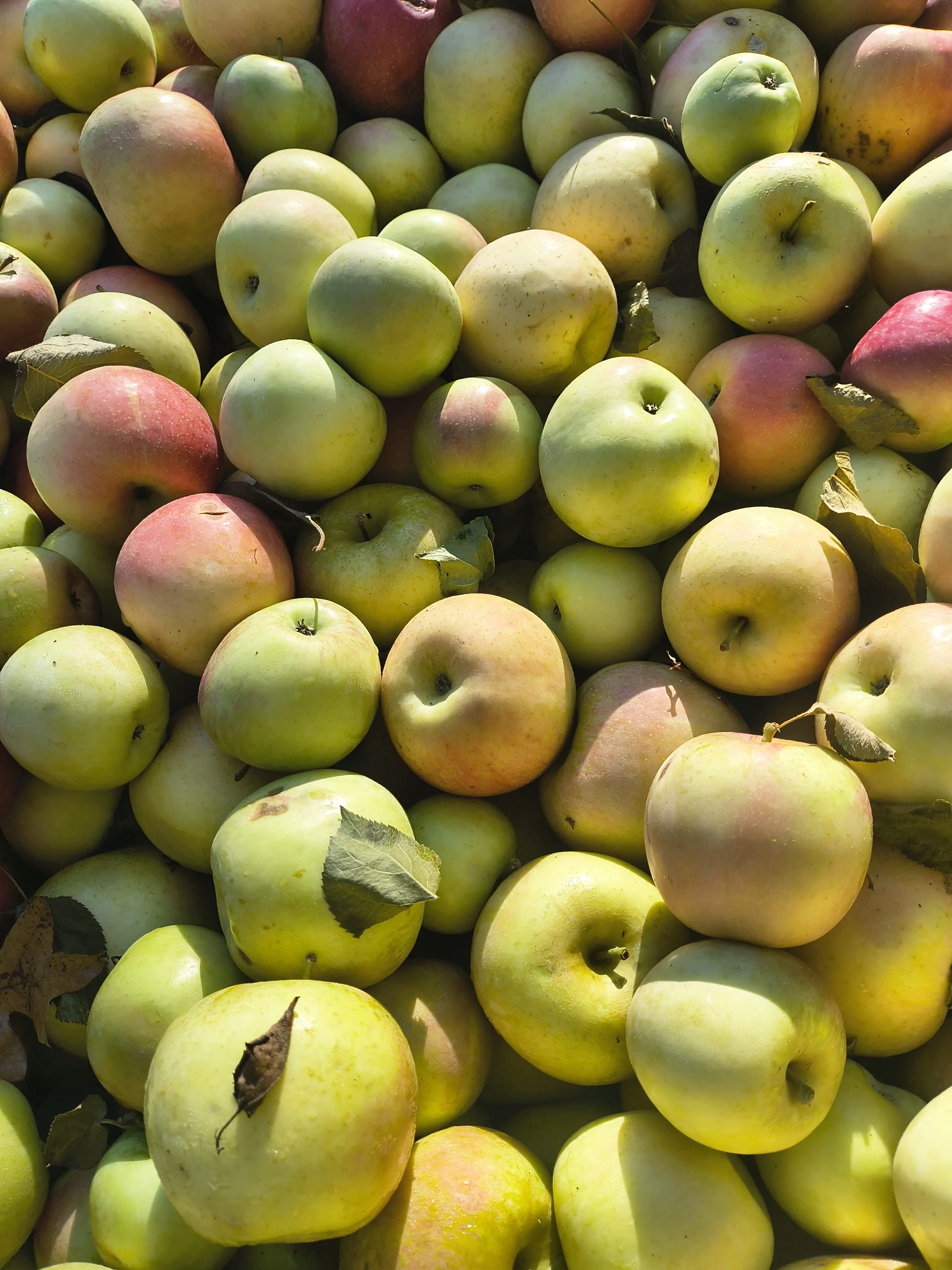 img_20251018_160229083_hdr