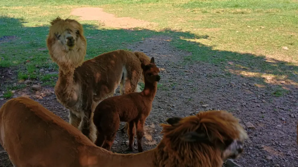 img_20250703_162541178_hdr