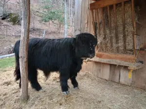 img_20260330_191837417_hdr