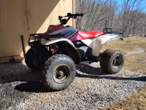 img_20260213_124125370