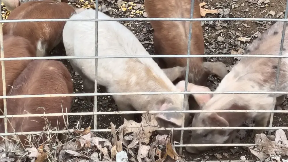 img_20251113_151126148_hdr