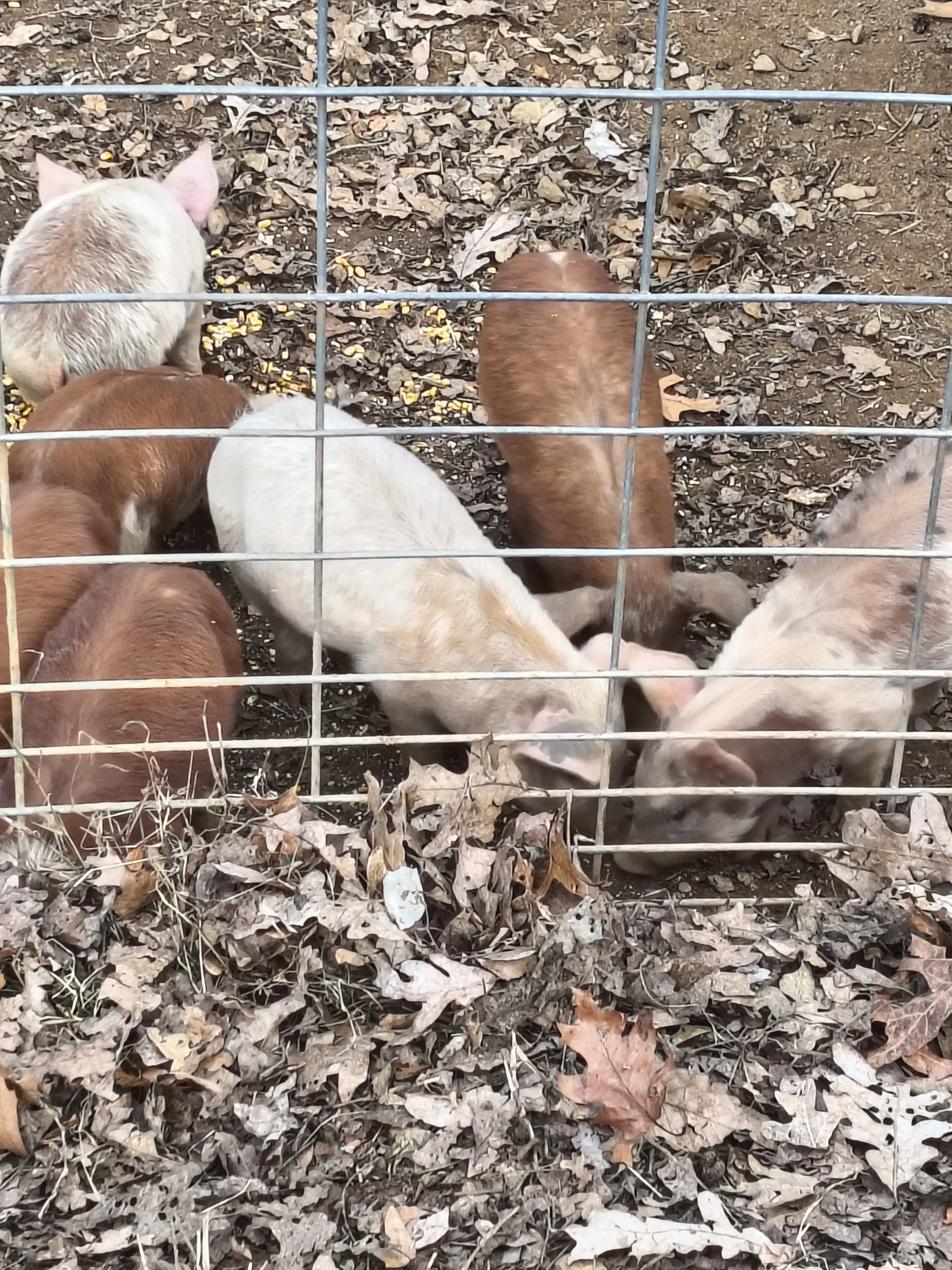 img_20251113_151126148_hdr